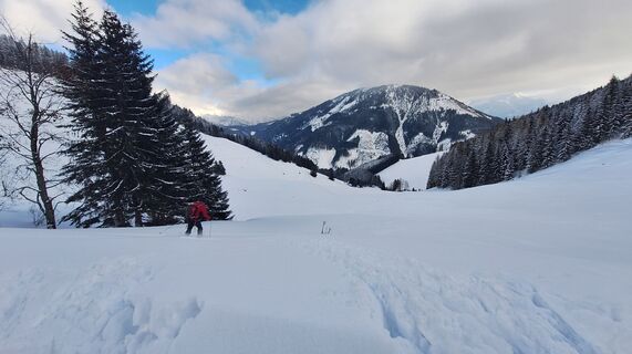 Fotografia z Regina Fleischmann na trase
