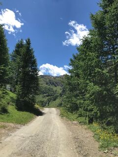 Von der Alpe Plane in Richtung Piano della Milizia