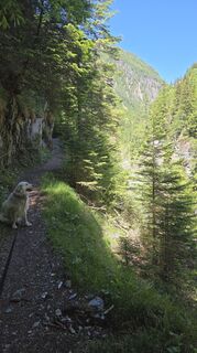 Fotografija s spletne strani Bruno Neumayr 1 na poti