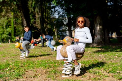 Aufregende Federspieltiere in Feldbach