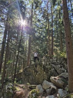 Puchberg am Schneeberg, Niederösterreich/Österreich