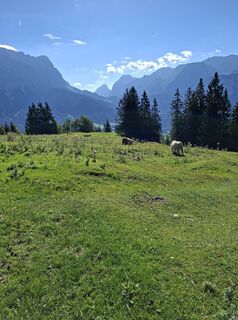 Foto von gottie entlang der Tour