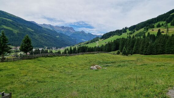 Fotografia z Gerrit van der Linde na trase