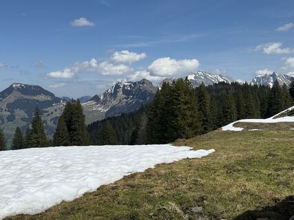 Fotografija s spletne strani Daniel Herz na poti