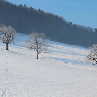 Winterlandschaft