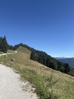 Foto von Heinz Sperl entlang der Tour