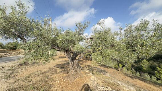 Kuva osoitteesta Rene51 matkan varrella