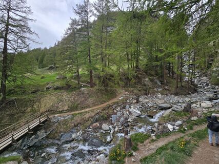 Foto von AlpenFuchs entlang der Tour