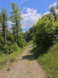 Foto von Katona Ferk Mariann entlang der Tour