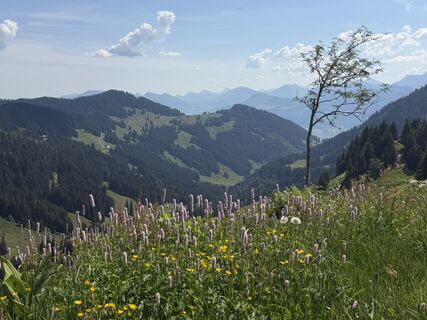 Foto von Robert Dolp entlang der Tour