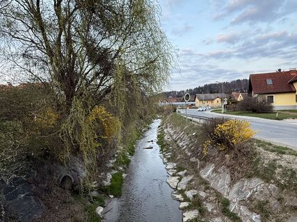 Fotografija s spletne strani Linda Geister-Hänsler na poti