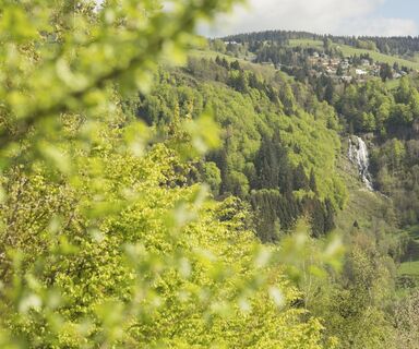 Blick vom Grillplatz Hasbach zum Todtnauer Wasserfall
