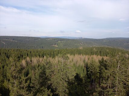 Foto von Wollomator entlang der Tour