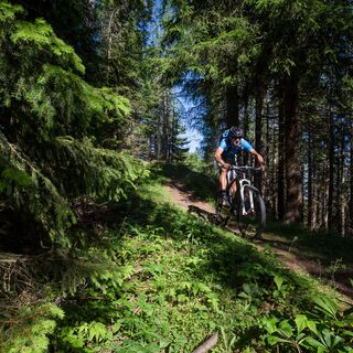 Mountainbiken