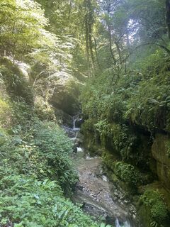 Photo de Martin Reinhard le long du parcours