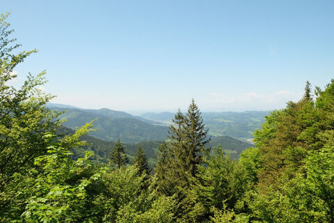 Blick von der Fentzlingerbank am Gschasifelsen auf den Hörnleberg und ins Elztal
