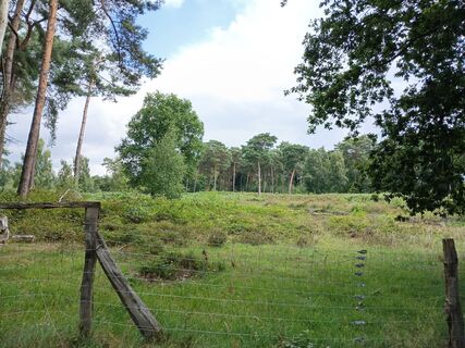 Фото с сайта Hexe25 во время экскурсии