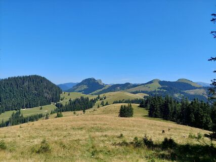 Foto von Evelynchen entlang der Tour