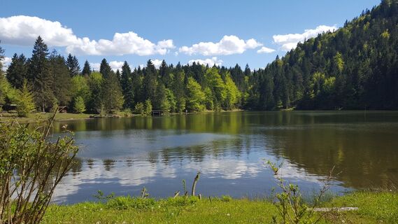 Pflegersee