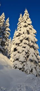 Fotó a Afa honlapról a túra során
