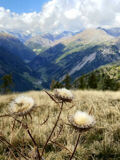 Foto von Bernd Rodekohr entlang der Tour