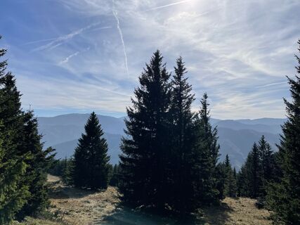 Photo de Brge68 le long du parcours