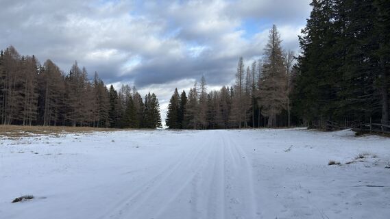 Foto von Raphael Höller entlang der Tour