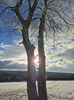 Photo de Roswitha le long du parcours