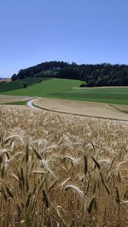 Fotó a dalinza honlapról a túra során