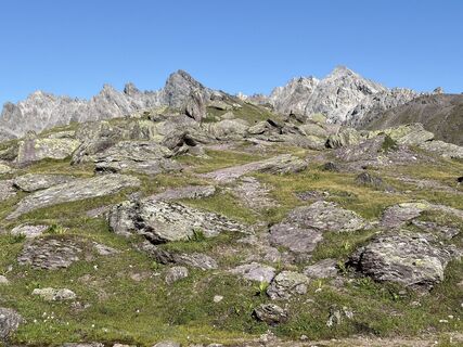 Photo de Nikki Baer le long du parcours