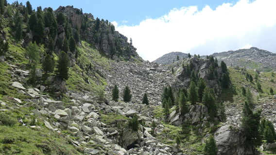 Foto da Arthur Muskalla lungo il tour