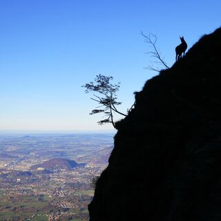 Magische Momente am sagenhaften Untersberg, kurz vor dem Schellenberger Sattel.