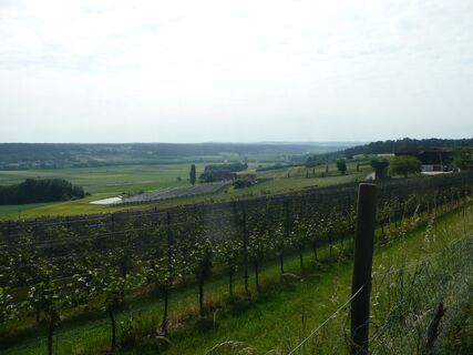 Kulturen