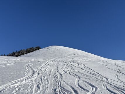 Foto från Heinz Sperl under resans gång