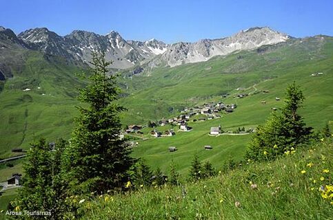 Innerarosa