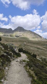Fotografia z Mirko Stefani na trase