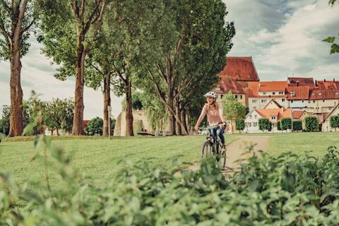 am Neckartal-Radweg | Lamparter-Park Lauffen am Neckar | HeilbronnerLand