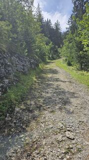 Foto von Daniela Lindau entlang der Tour
