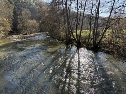 Foto von Michael Rosenfelder 1 entlang der Tour