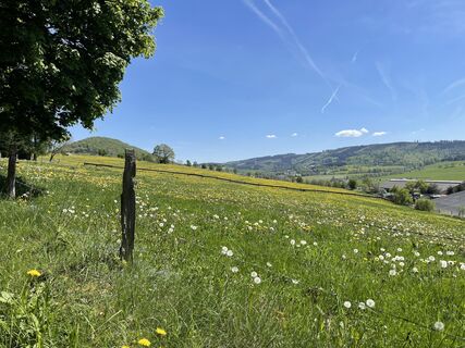 Photo de Olaf Mönig le long du parcours