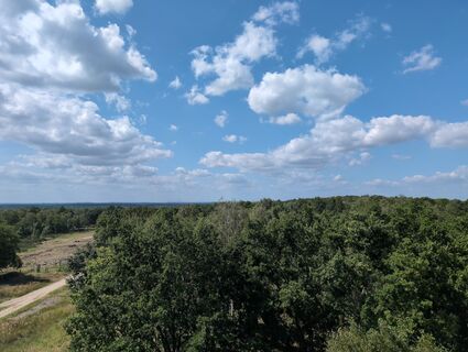 Fotografia z Marcel Zielinski na trase