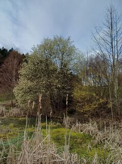 Fotografija s spletne strani Andrea Rothbauer na poti