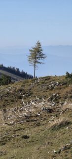 Foto de Danijel Turnšek a lo largo del recorrido