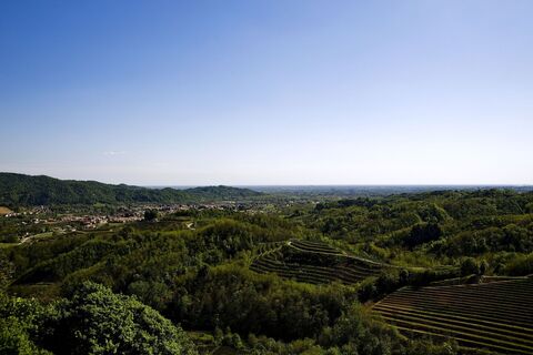 Tarcento