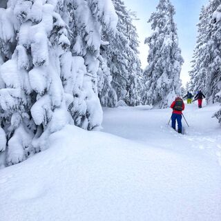 Skitour