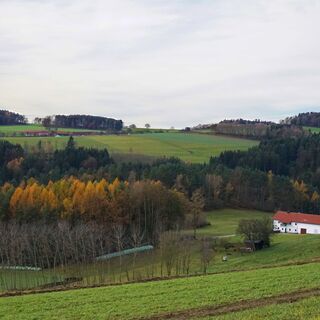 Landschaft