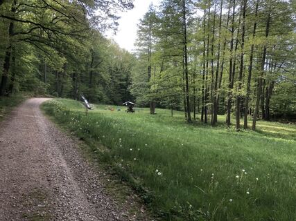 Waldspielplatz