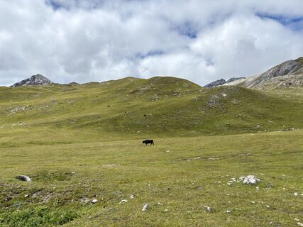 Photo from madr along the tour