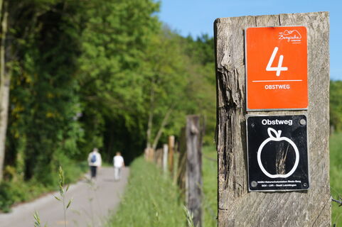 Impressionen vom Obstweg