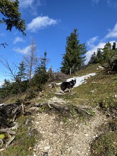 Fotografia z Florian Gerl na trase